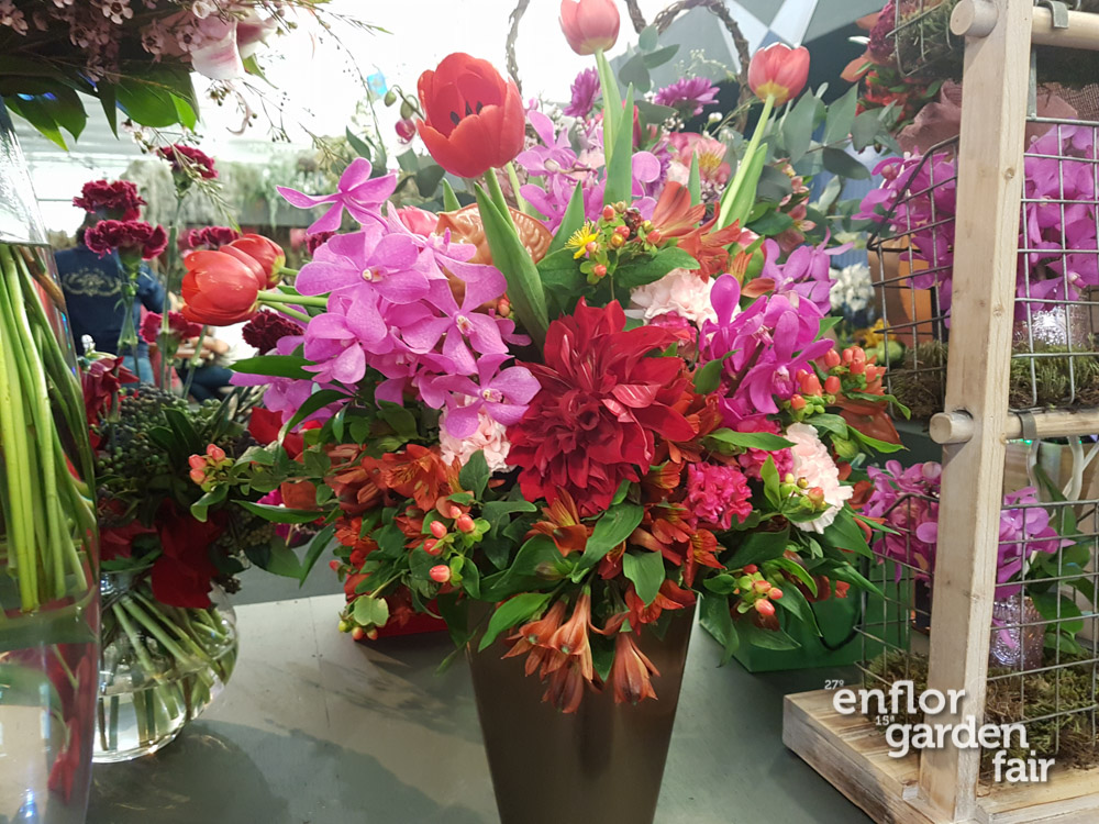 enflor_2018-104255
