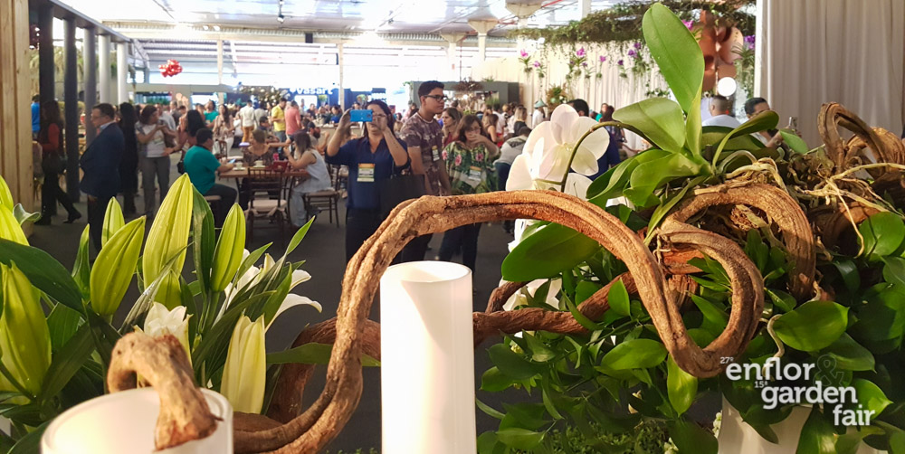 enflor_2018-105228