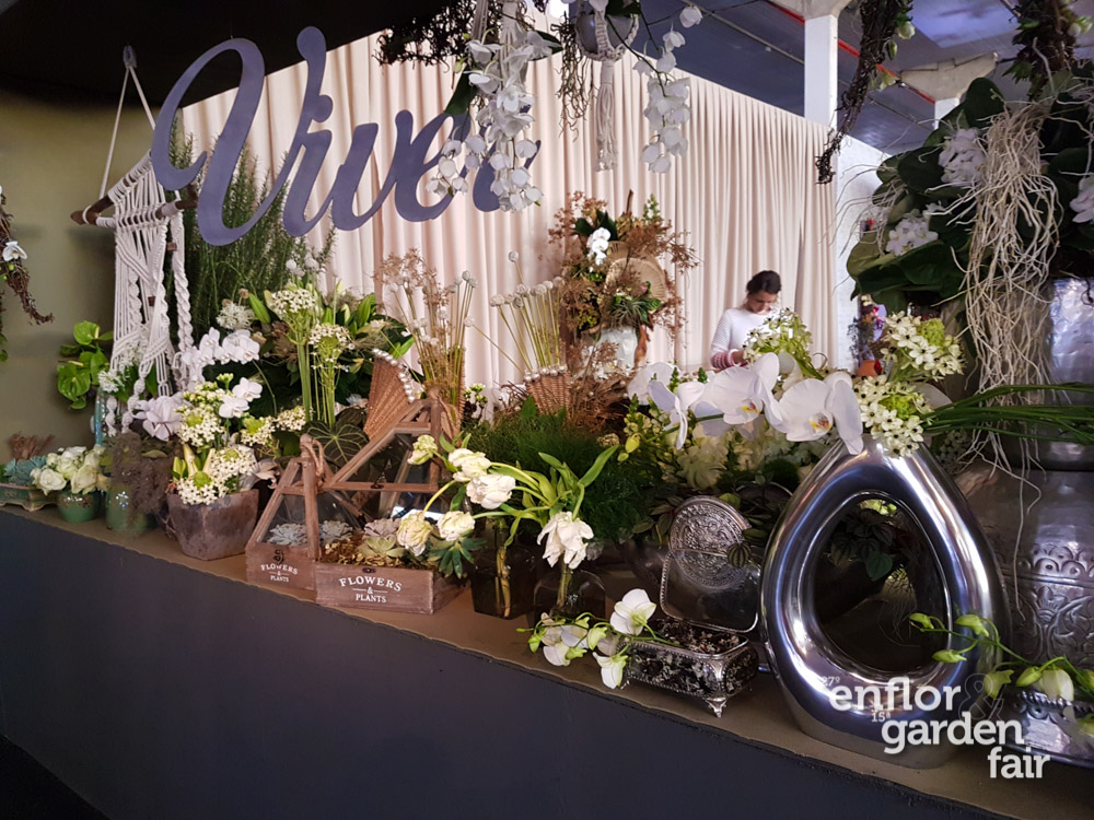 enflor_2018-105754