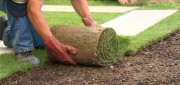 O Jardim é um Espetáculo 2017