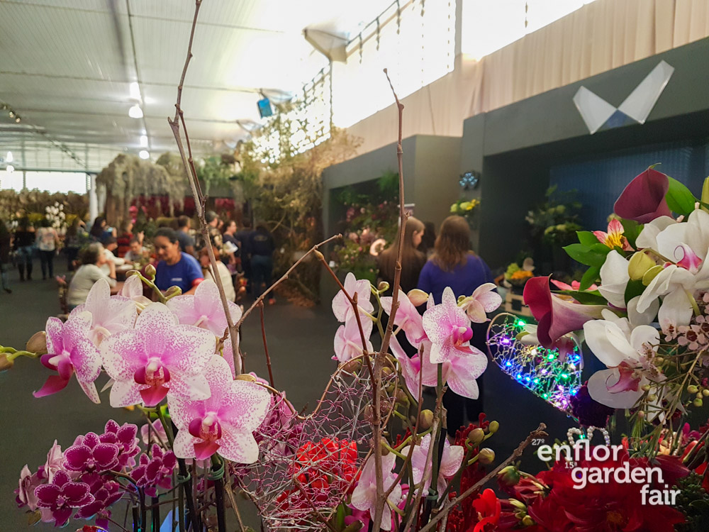 enflor_2018-104322