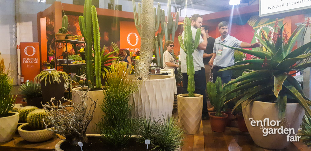enflor_2018-141201