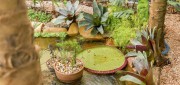 Mini Curso Garden Fair