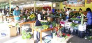 Atividades ABAF 2018