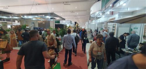 Enflor & Garden Fair 2023