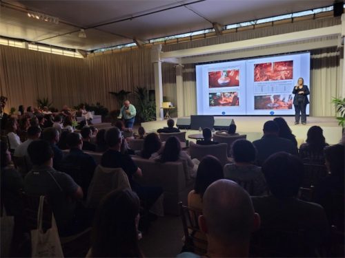 Enflor & Garden Fair 2023