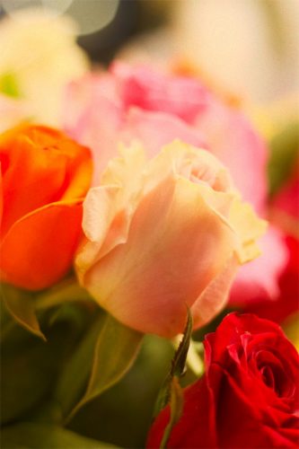 Enflor & Garden Fair 2023