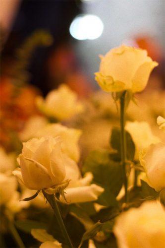 Enflor & Garden Fair 2023