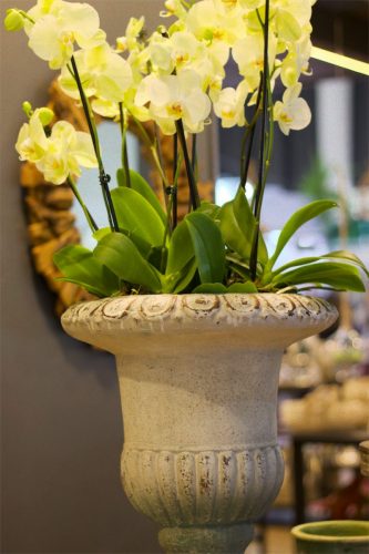 Enflor & Garden Fair 2023