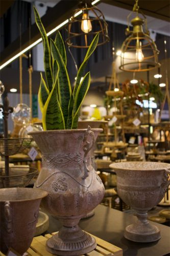 Enflor & Garden Fair 2023