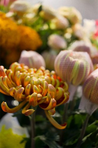 Enflor & Garden Fair 2023