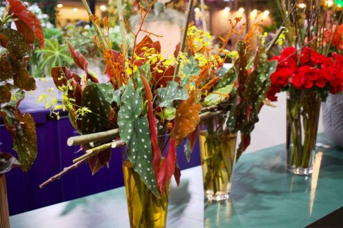 Enflor & Garden Fair 2023