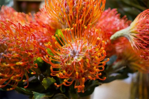 Enflor & Garden Fair 2023