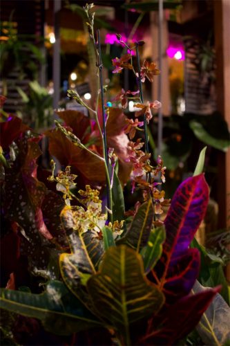 Enflor & Garden Fair 2023