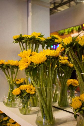 Enflor & Garden Fair 2023