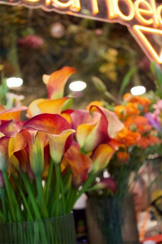 Enflor & Garden Fair 2023