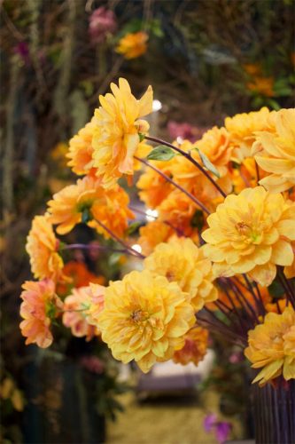 Enflor & Garden Fair 2023