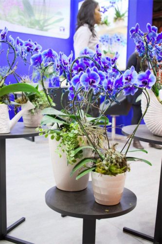 Enflor & Garden Fair 2023