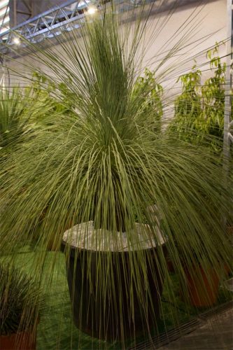 Enflor & Garden Fair 2023