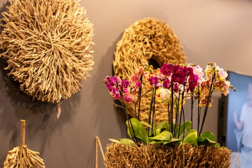 Enflor & Garden Fair 2024